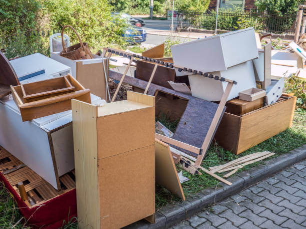 Best Household Junk Removal  in Trenton, MI