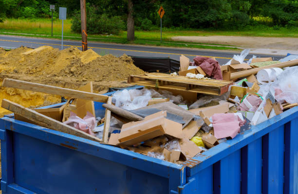 Best Professional Junk Removal  in Trenton, MI